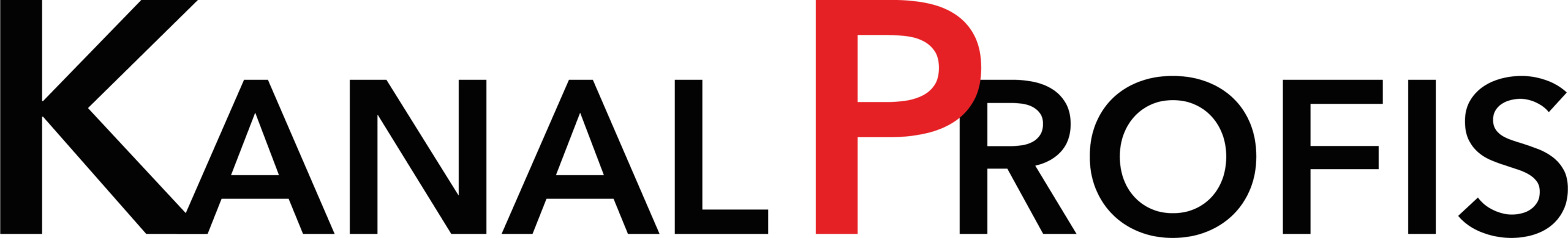 S&A Kanalprofis Logo